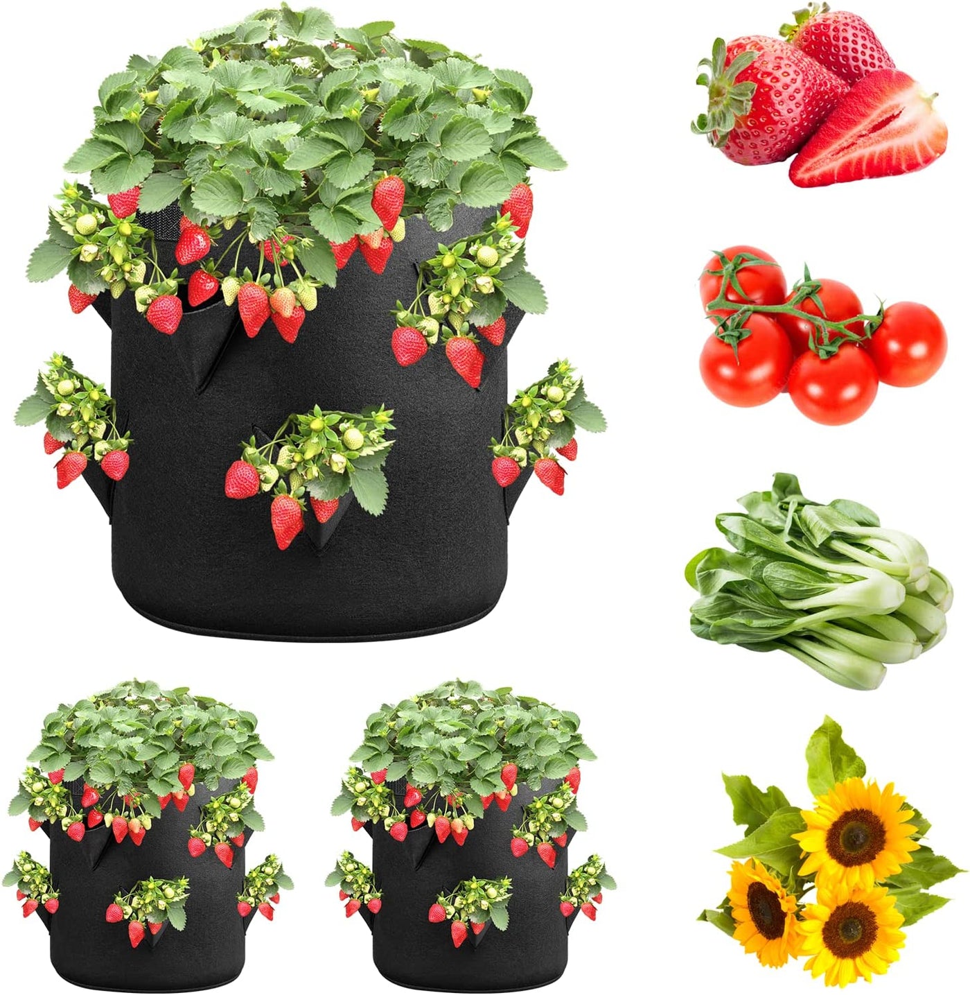 Strawberry Grow Bags 3 Gallon 2-Pack