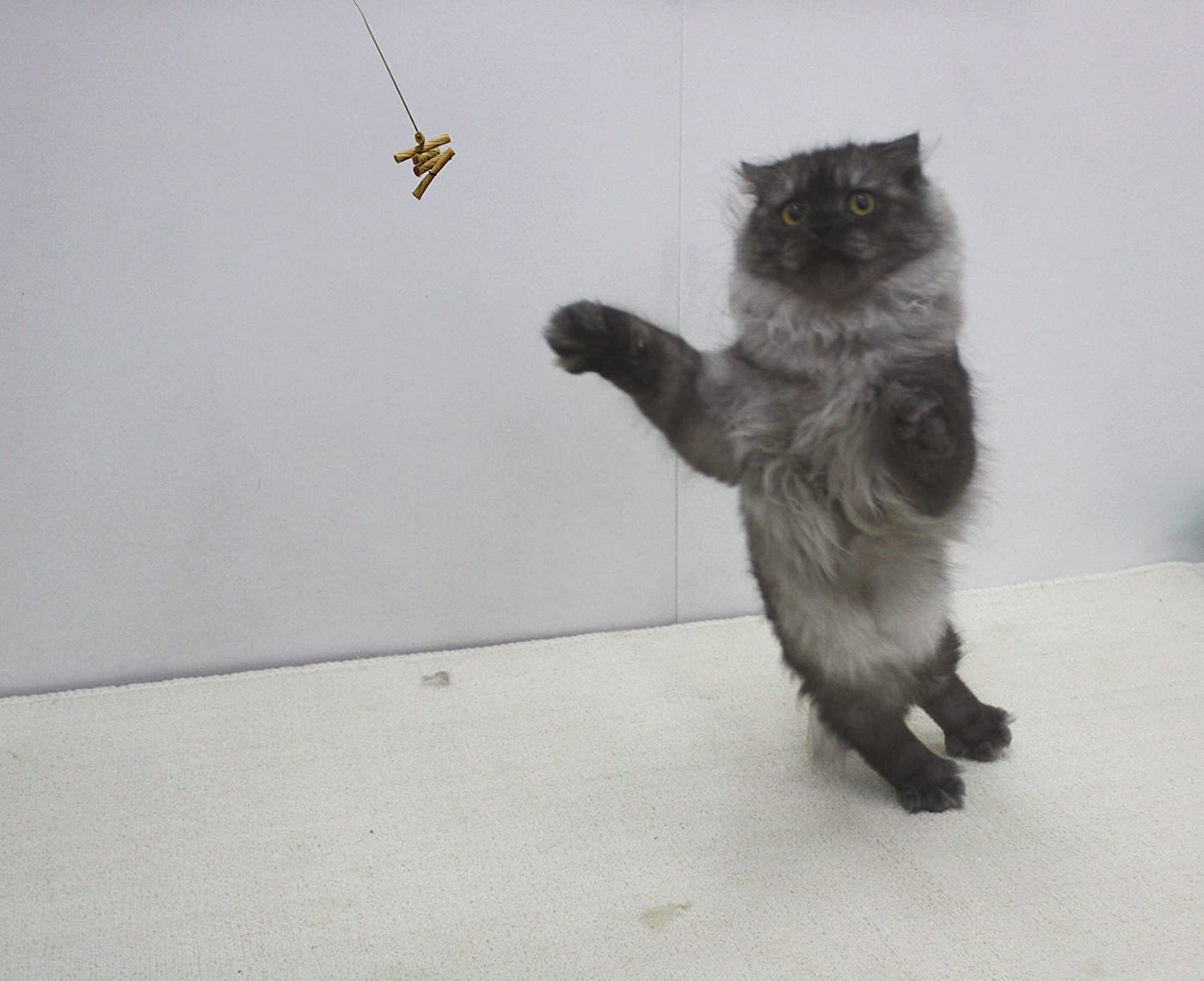 Cat Dancer 101 Cat Dancer Interactive Cat Toy