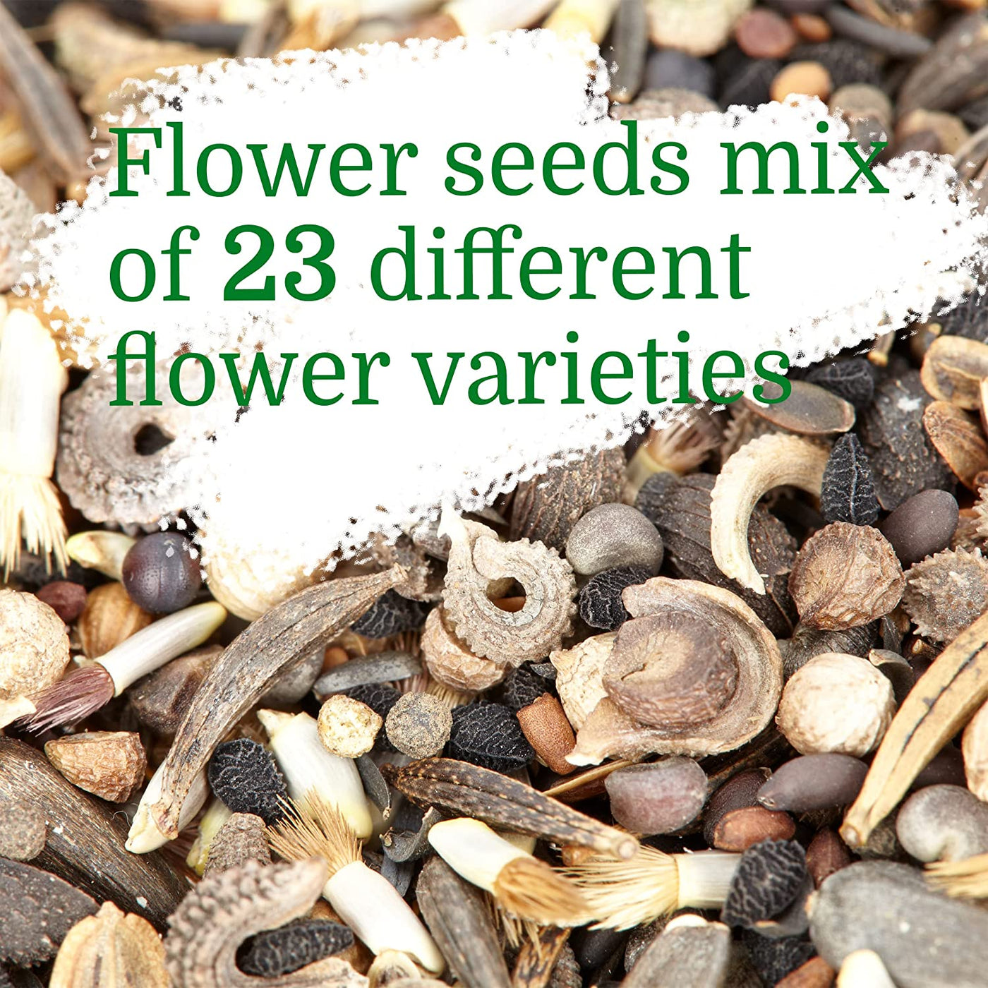  Bee Friendly Wildflower Seeds Mix: Approx. 10,000 Flower Seeds