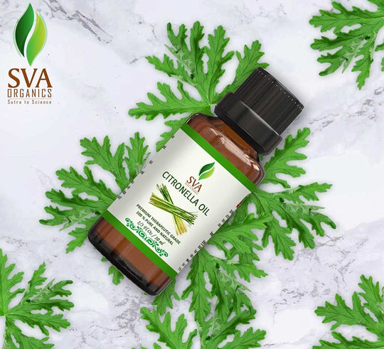 SVA Citronella Essential Oil - 1/3 Oz (10 ML) 100% Pure & Natural Therapeutic Grade Oil for Skin, Body, Diffuser, Candle Making