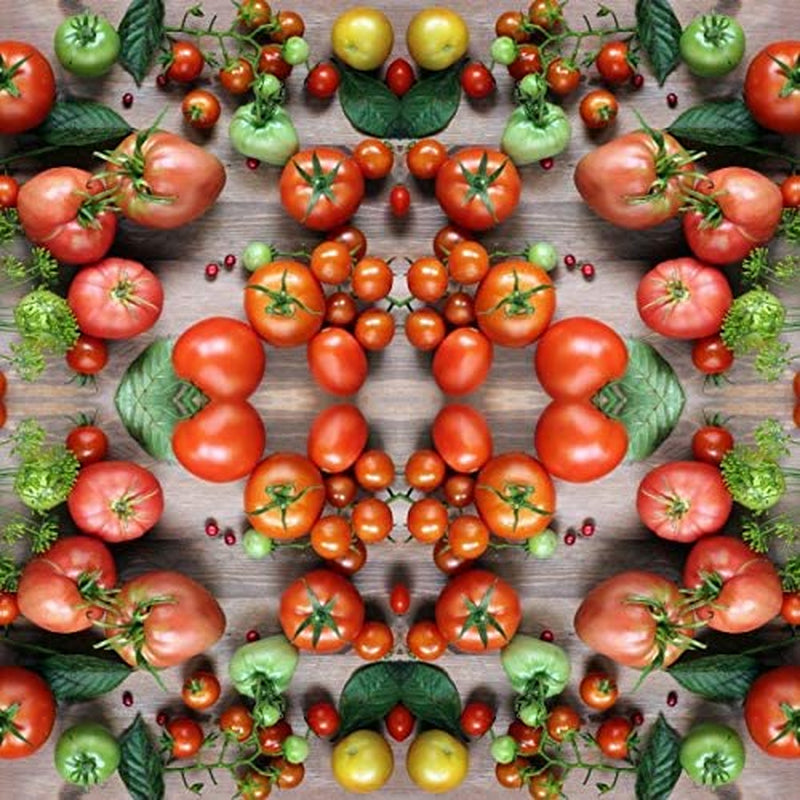  Vegetable Tomato Kaleidoscope Variety Mix (from Small to Giant) - 50 Seeds