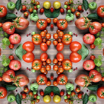  Vegetable Tomato Kaleidoscope Variety Mix (from Small to Giant) - 50 Seeds