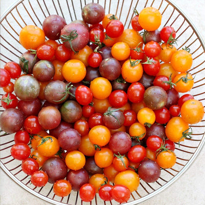  Vegetable Tomato Kaleidoscope Variety Mix (from Small to Giant) - 50 Seeds