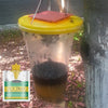 Multi-Pack Hanging Fly Trap Disposable Insect Bug Catchers