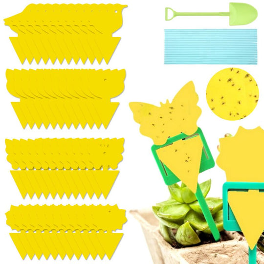 48 Pieces - Fruit Fly Sticky Traps, Fungus Gnat Traps - Indoor and Outdoor