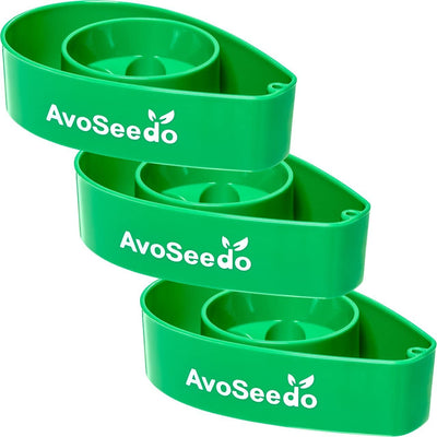 Avocado Tree Growing Kit