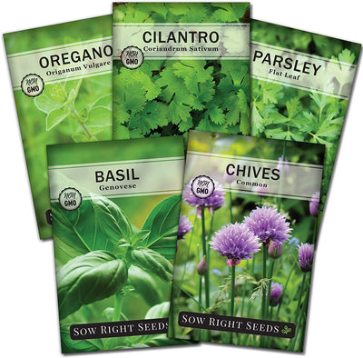  5 Herb Seed Collection - Genovese Basil, Chives, Cilantro, Italian Parsley, and Oregano 