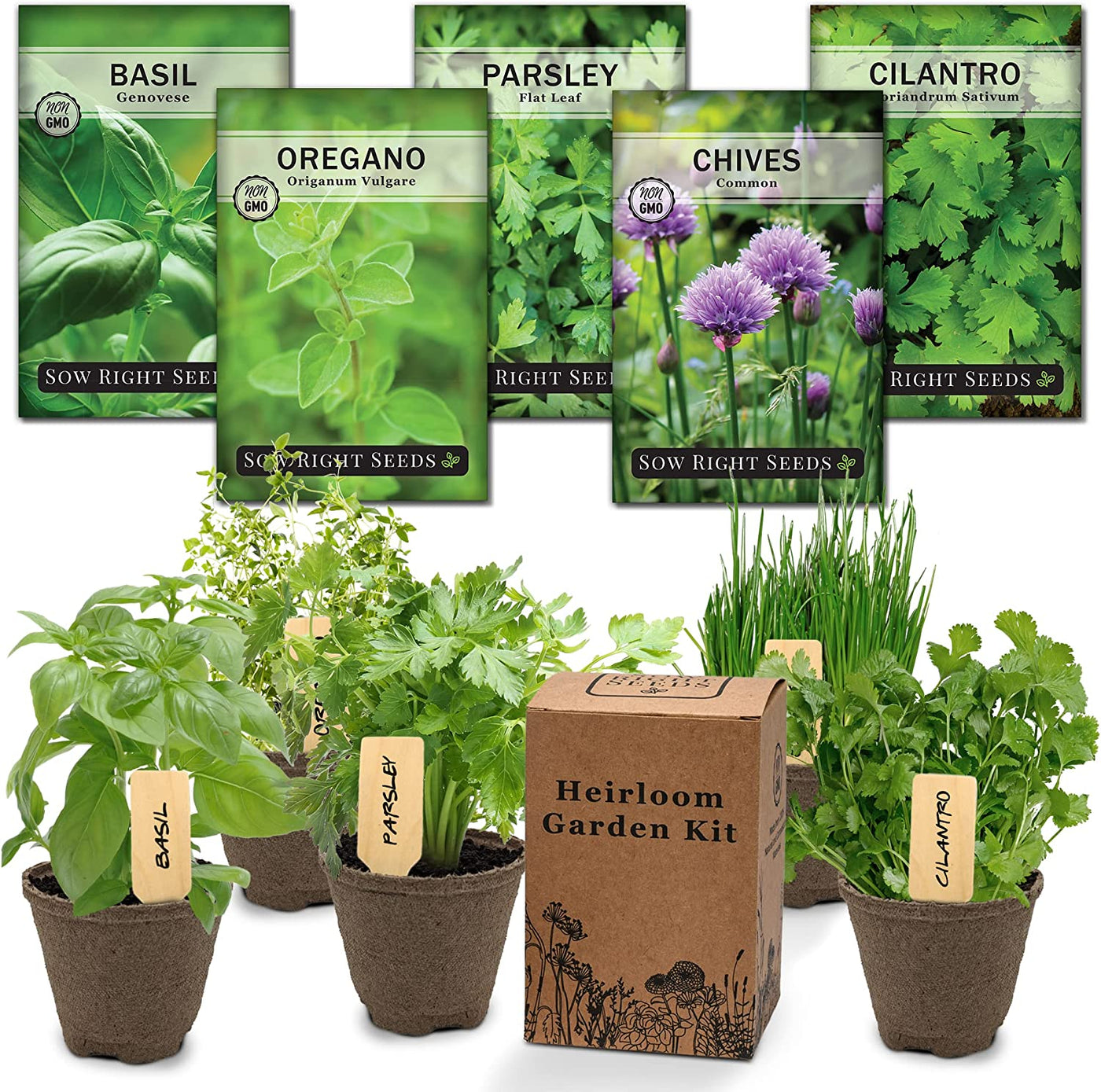  5 Herb Seed Collection - Genovese Basil, Chives, Cilantro, Italian Parsley, and Oregano 