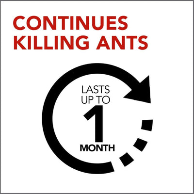 Raid Ant Gel, Continues Killing for up to 1 Month 