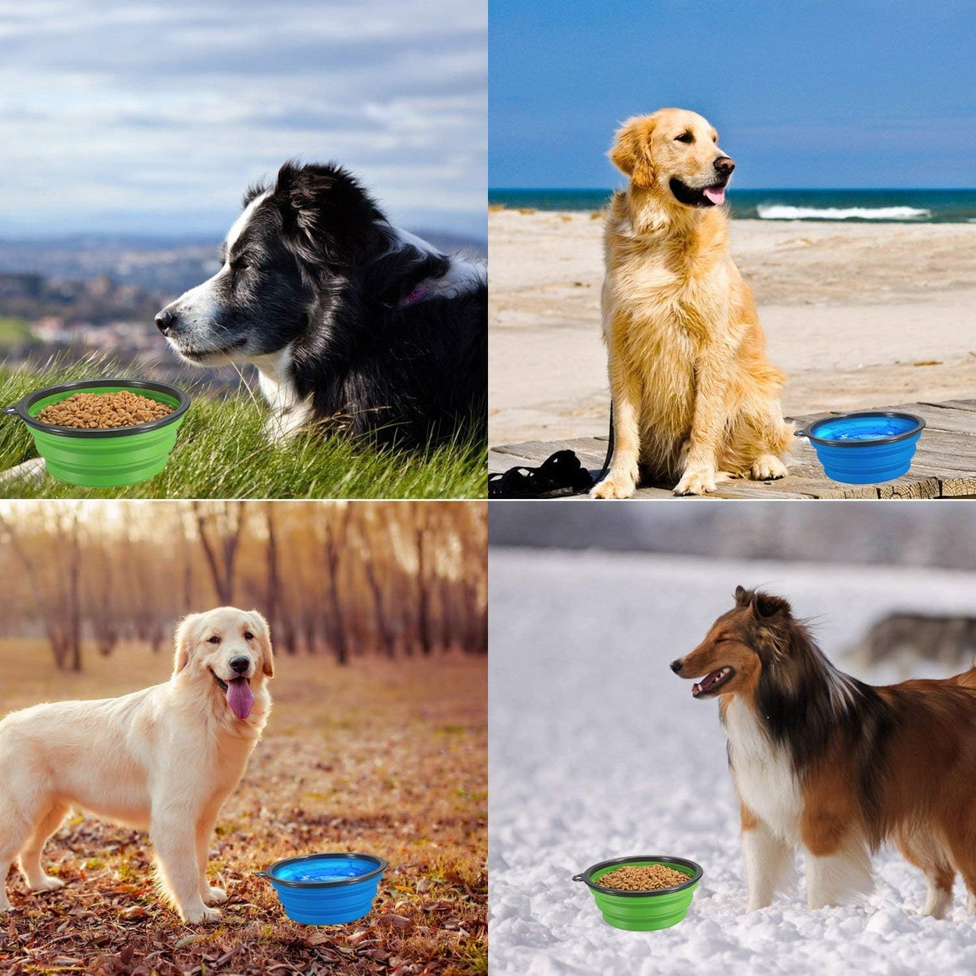2 Pack Large Size Collapsible Dog Bowl