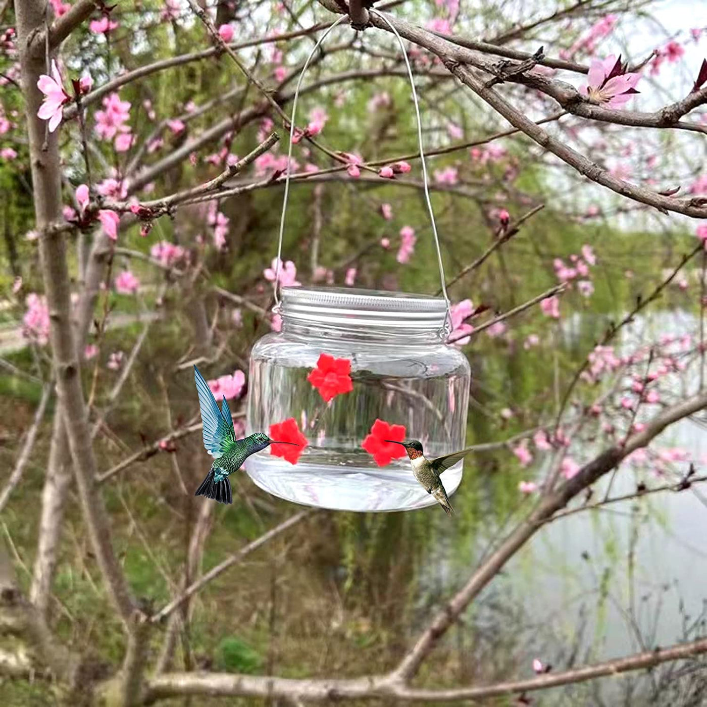 Mason Jar Hummingbird Feeder