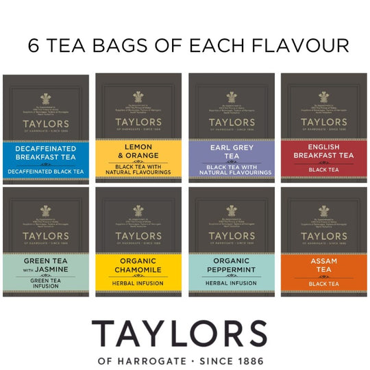 Taylors of Harrogate Assorted Specialty Teas - Box of 48 count