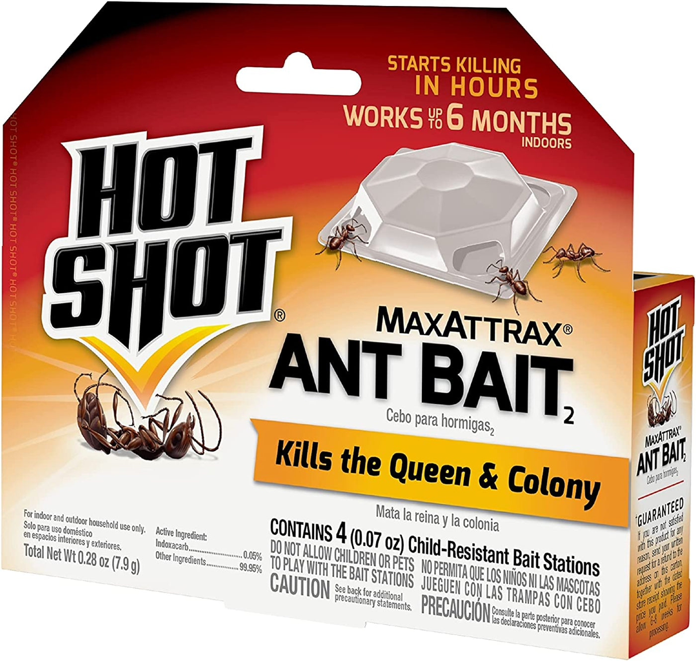 Hot Shot Ant Bait