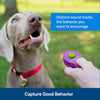 Dog Training Clicker - Positive Behavior Reinforcer for Pets - All Ages
