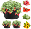 Strawberry Grow Bags 3 Gallon 2-Pack