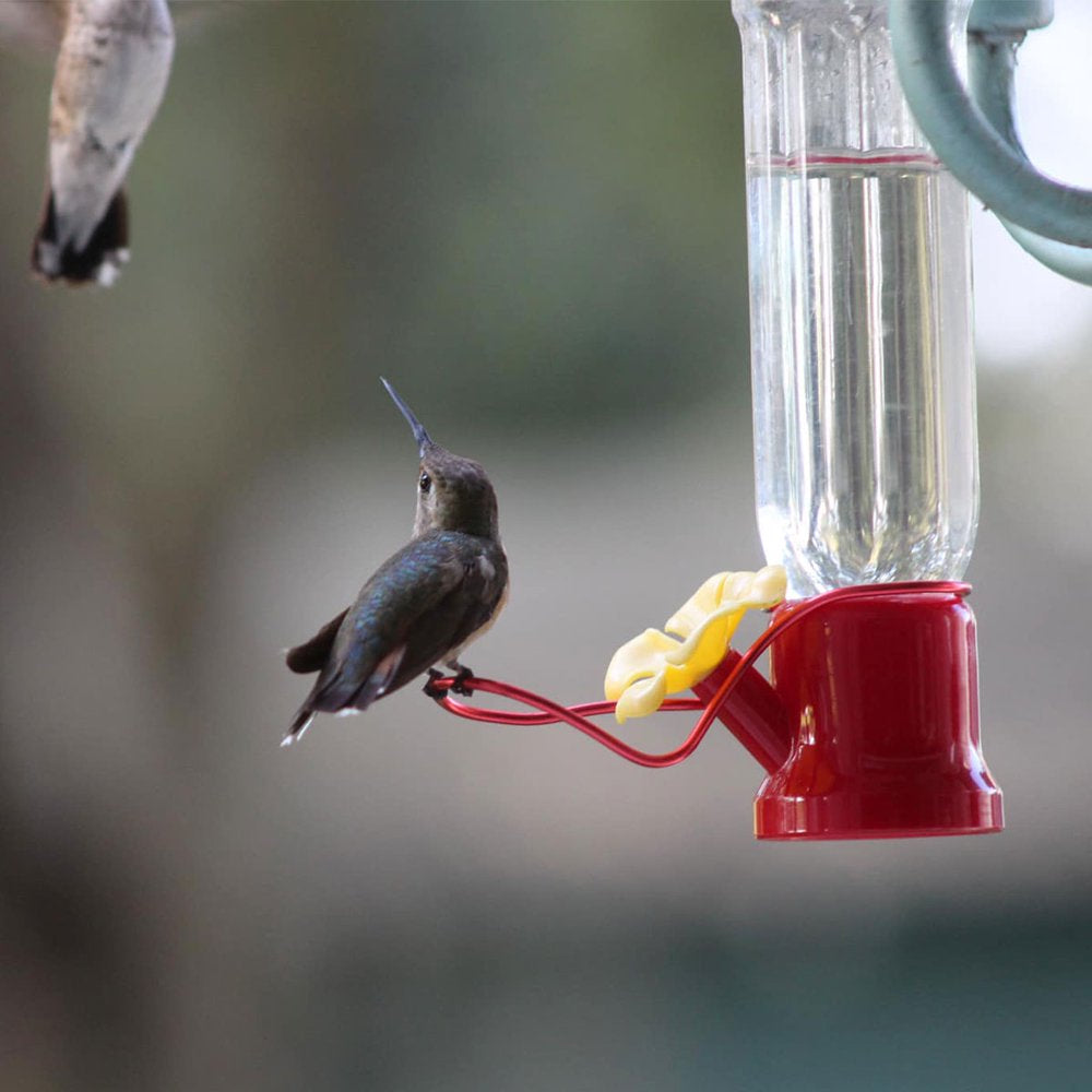  4 Pack Red Hanging Hummingbird Feeders for Outdoor