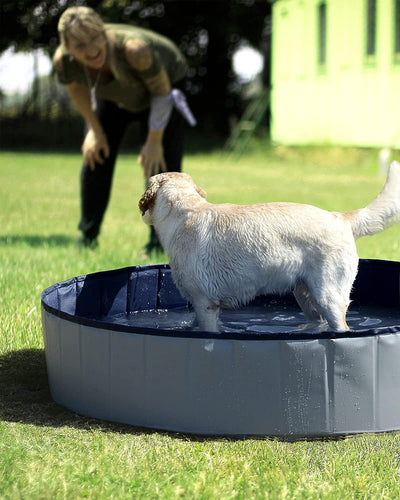 Portable Hard Plastic Pet Bath Pool for Dogs, Collapsible Dog Swimming Pool, Puppy Kiddie Kid Wading Pool for Indoor and Outdoor, 31.5 x 8 inches