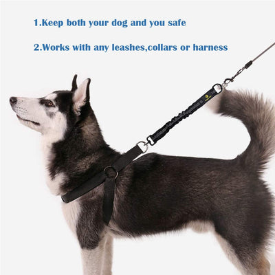 18” Shock Absorbing Lead Extension Absorber, Prevent Injury on Arm and Shoulder & Save Dogs from Getting Hurt, Great for Bicycle, Running, Walking