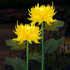  2 Pack Solar Garden Stake Lights, Outdoor Chrysanthemum Lights, LED Solar Powered Lights for Patio Lawn Garden Yard Pathway Decoration, Yellow