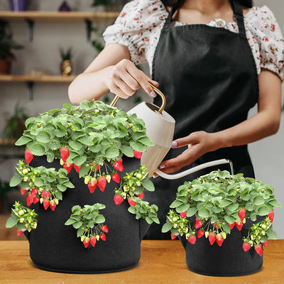 Strawberry Grow Bags 3 Gallon 2-Pack