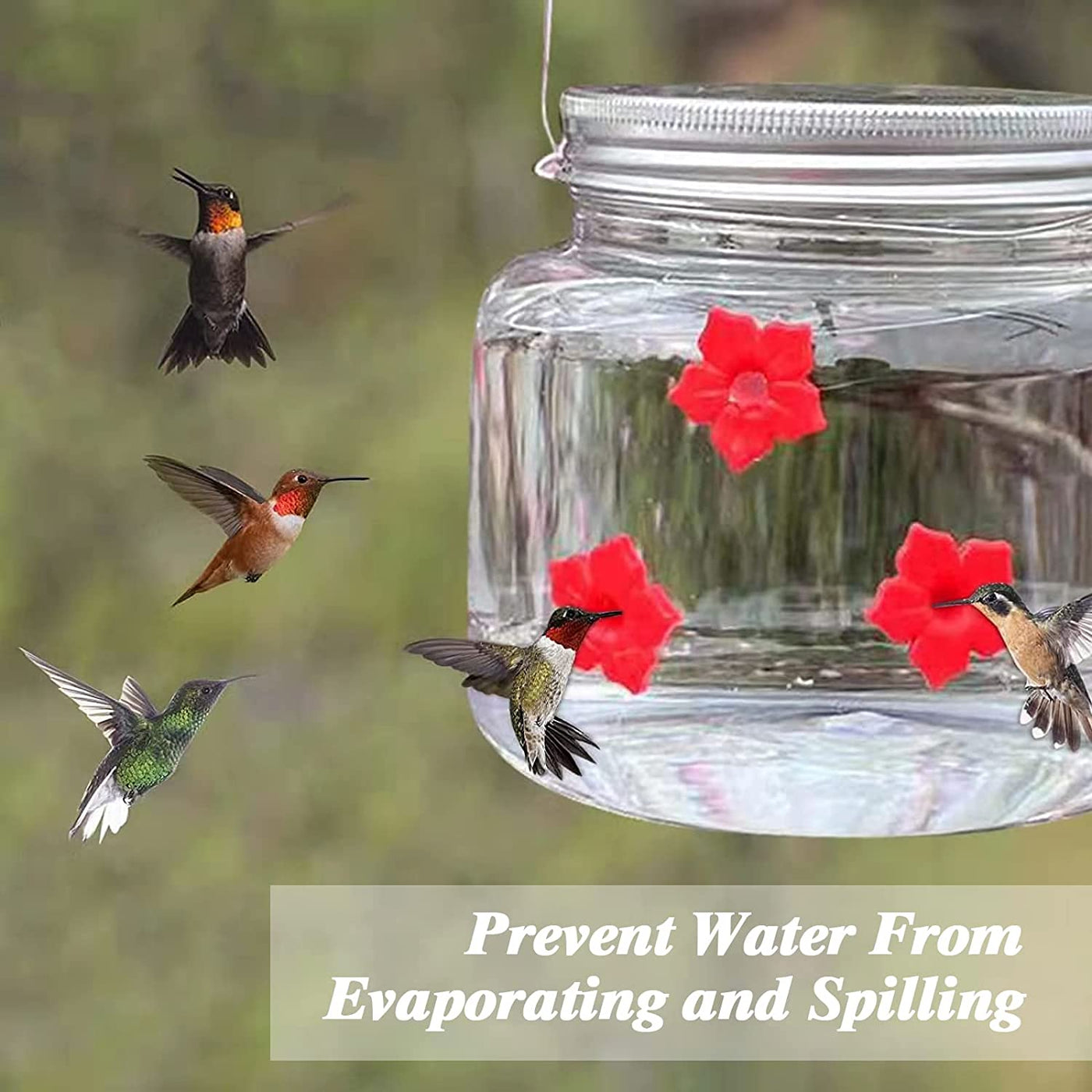 Mason Jar Hummingbird Feeder