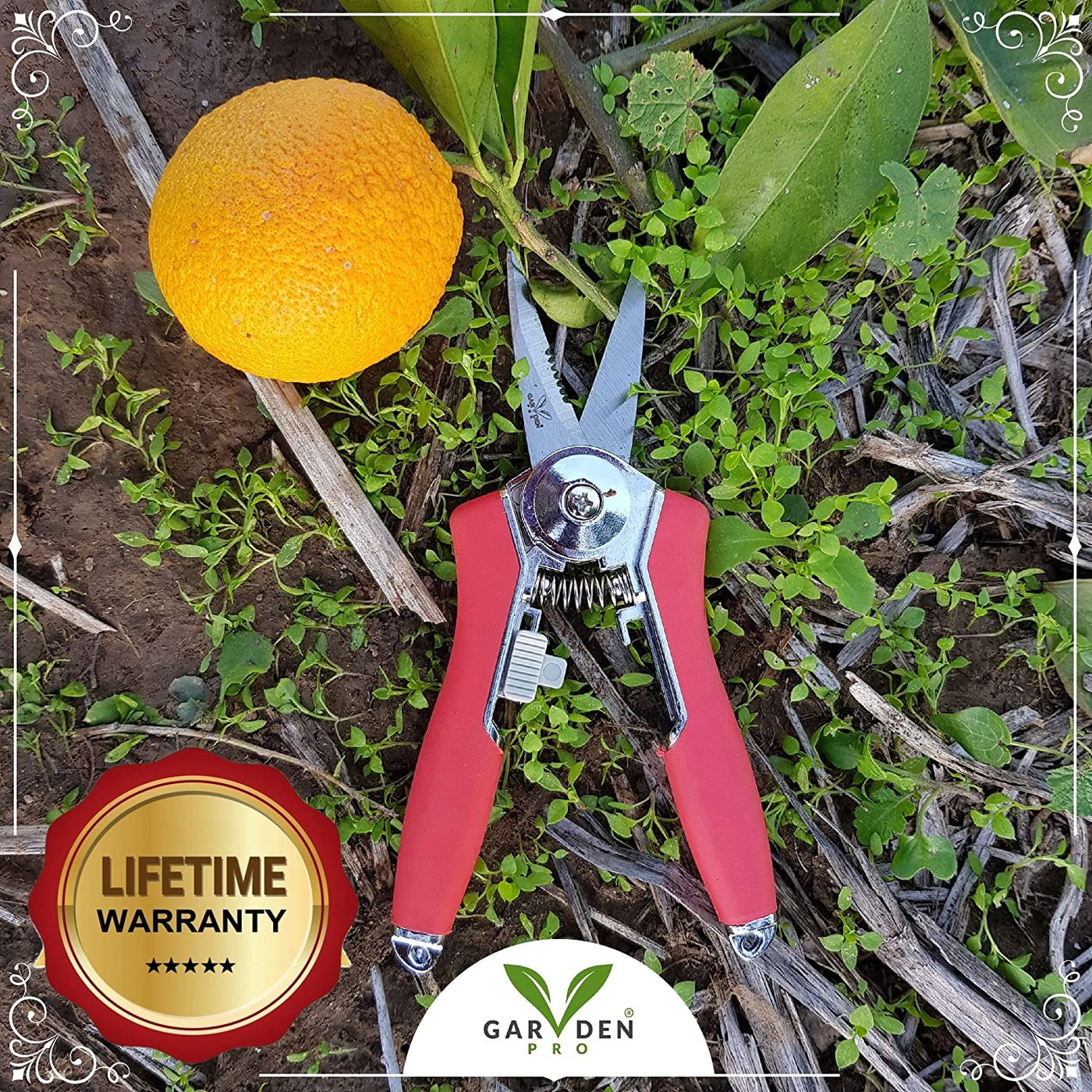 2 PK - Professional Titanium Pruning Shears 