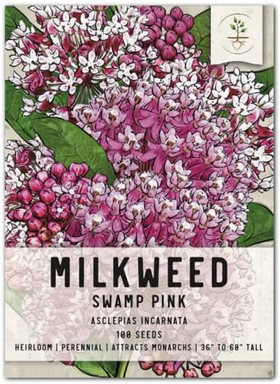 Pink Swamp Milkweed Seeds for Planting (Asclepias incarnata) Single Package of 100 Seeds - Heirloom & Untreated, Attracts Monarchs