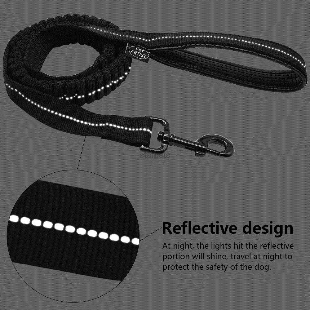 Reflective Bungee Training Dog Leash with Free Clicker