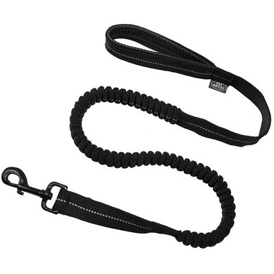 Reflective Bungee Training Dog Leash with Free Clicker