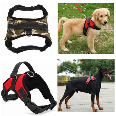 Heavy Duty Padded Dog Harness