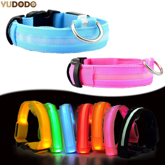 LED Pet Dog Collar
