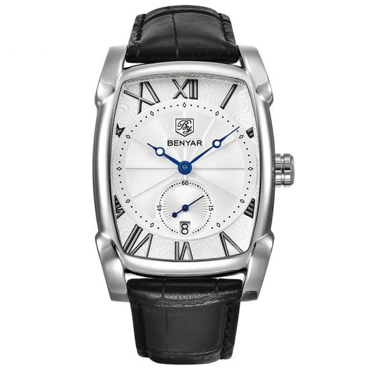 Men's Luxury Watch 30m Waterproof