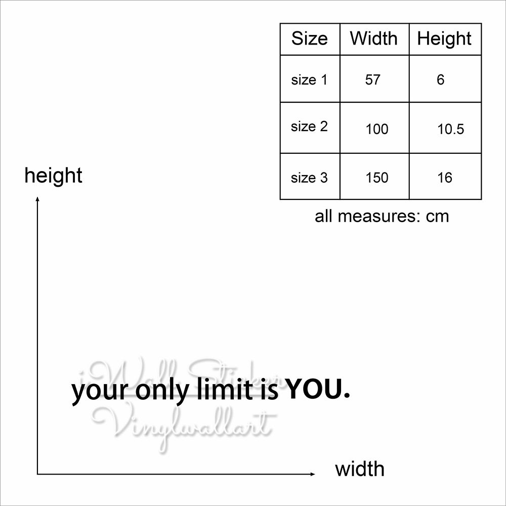 Your Only Limit is You Wall Sticker Motivational Quote Wall Sticker Removable Wall Decal Inspirational Gym Quotes Cut Vinyl Q3