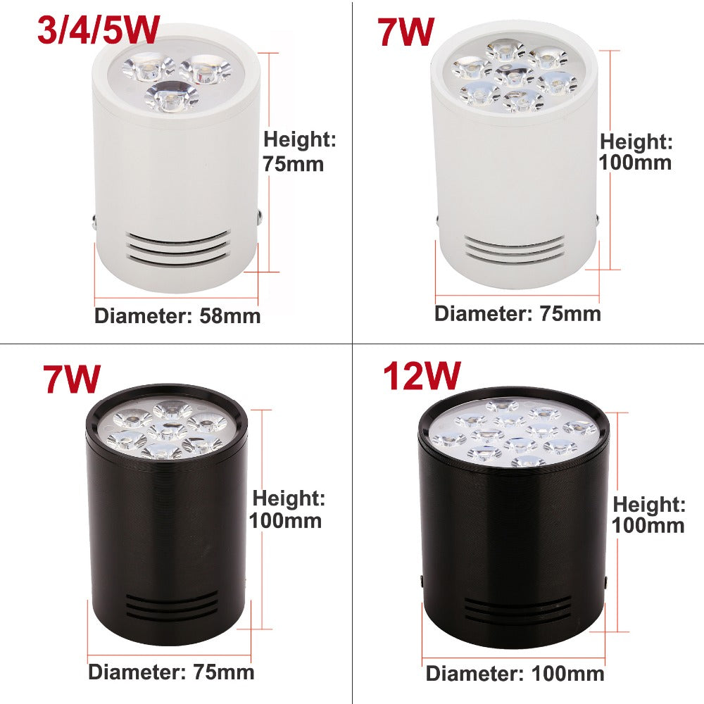 Surface Mounted LED Ceiling Lights Lamps