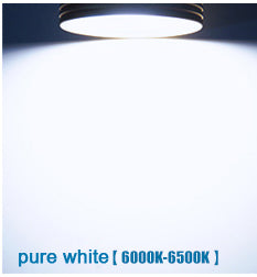 Surface Mounted LED Ceiling Lights Lamps