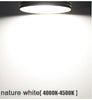 Surface Mounted LED Ceiling Lights Lamps
