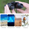see up close in during many activities